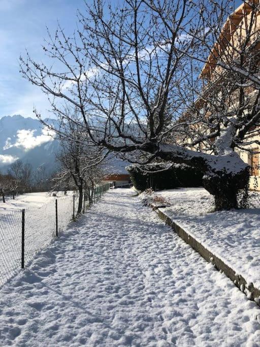 Appartement Rez De Jardin Montee De L'Alpe D'Huez La Garde  Exterior foto